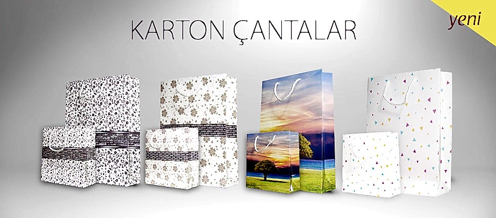 Karton Çantalar